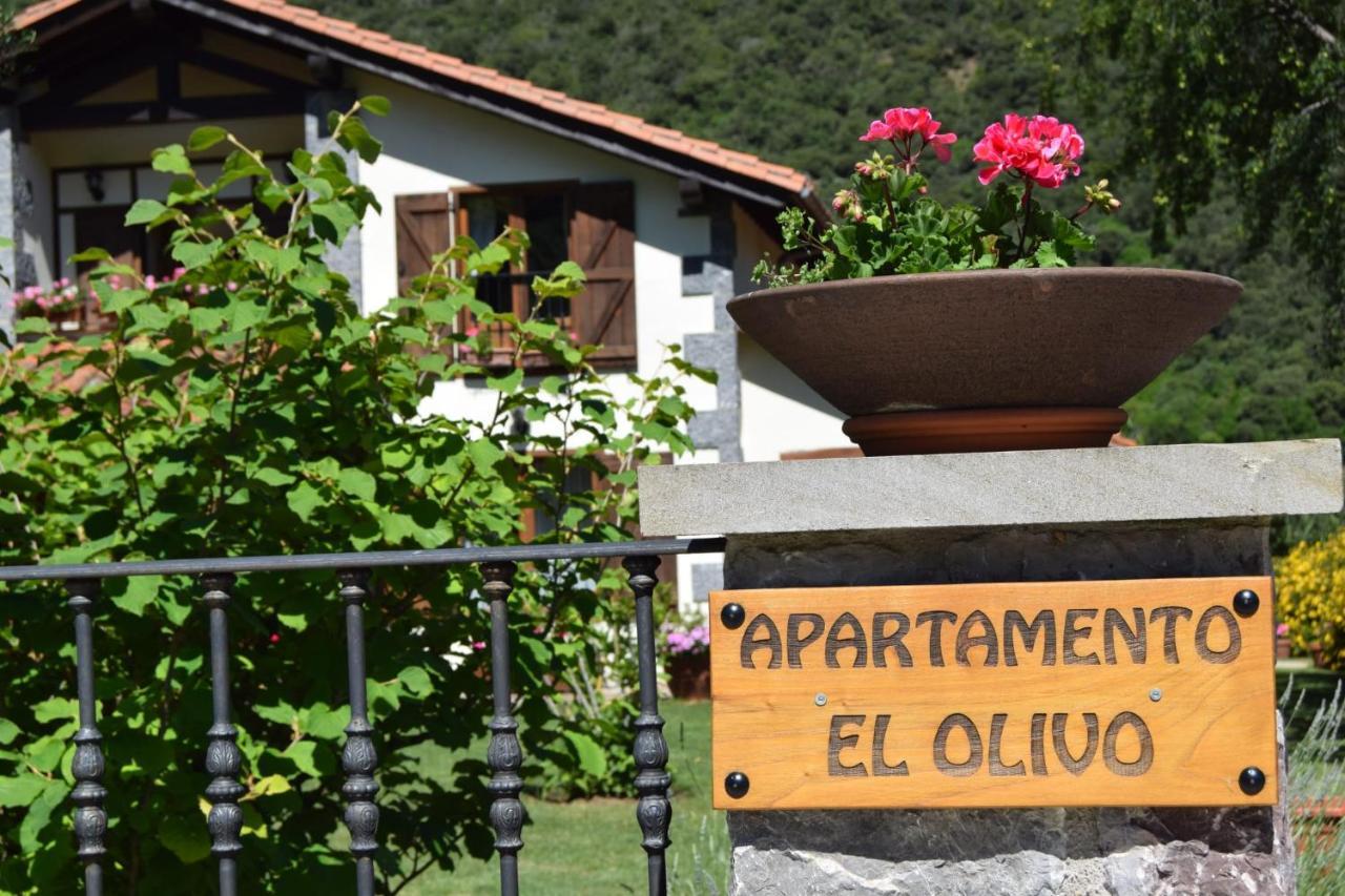Apartamento El Olivo Ojedo Exterior foto